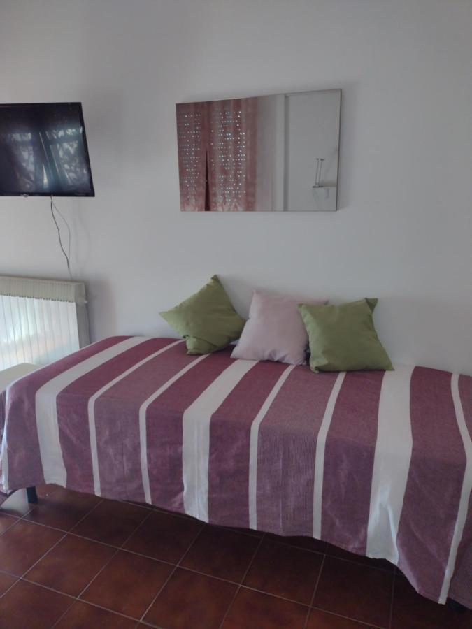 פיזה B&B L'Orchidea מראה חיצוני תמונה