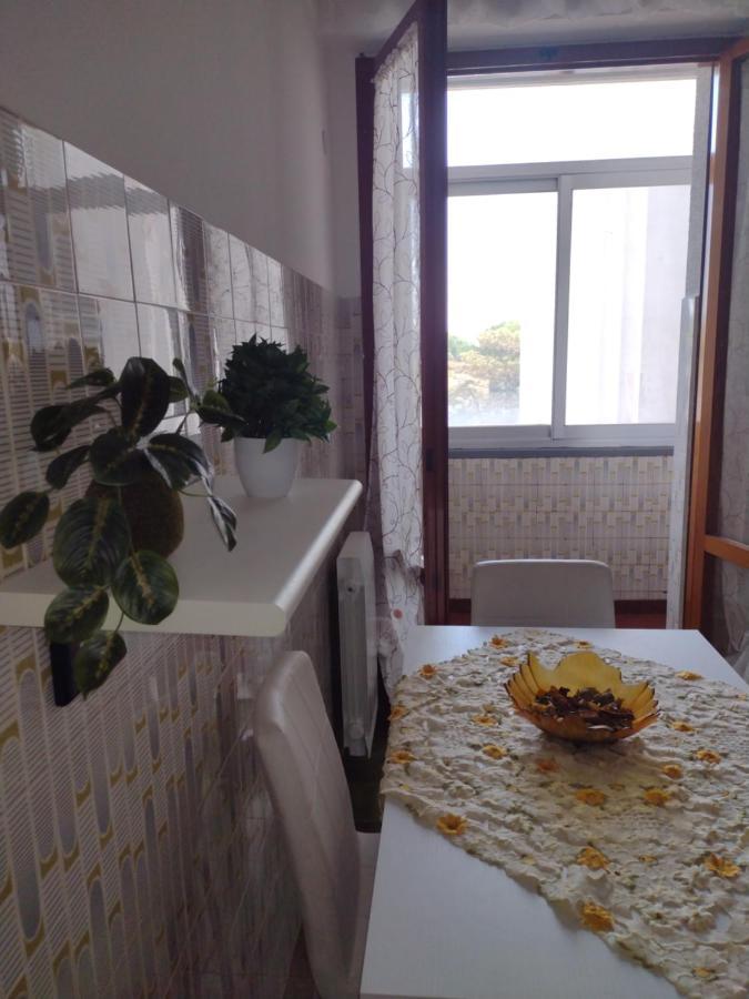 פיזה B&B L'Orchidea מראה חיצוני תמונה