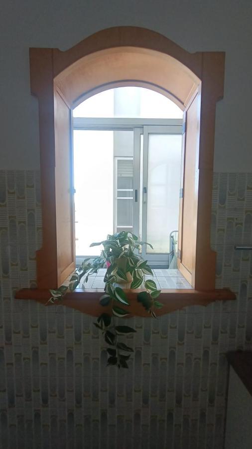 פיזה B&B L'Orchidea מראה חיצוני תמונה