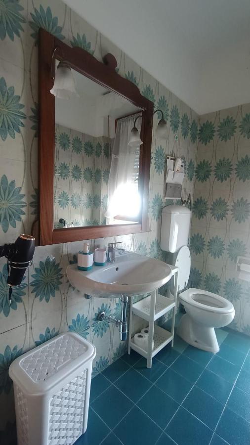פיזה B&B L'Orchidea מראה חיצוני תמונה