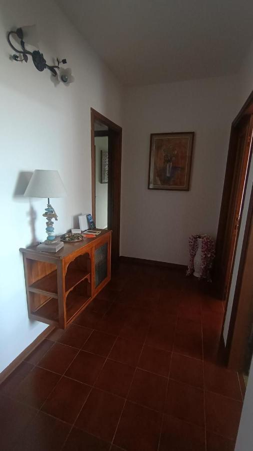 פיזה B&B L'Orchidea מראה חיצוני תמונה
